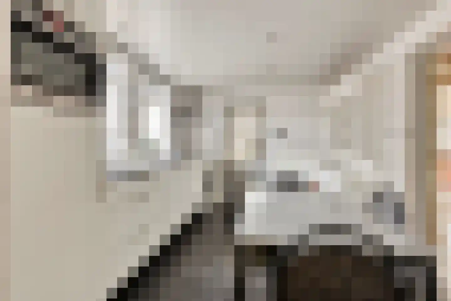 Stationsweg 101 Budel-Dorplein thumbnail 12
