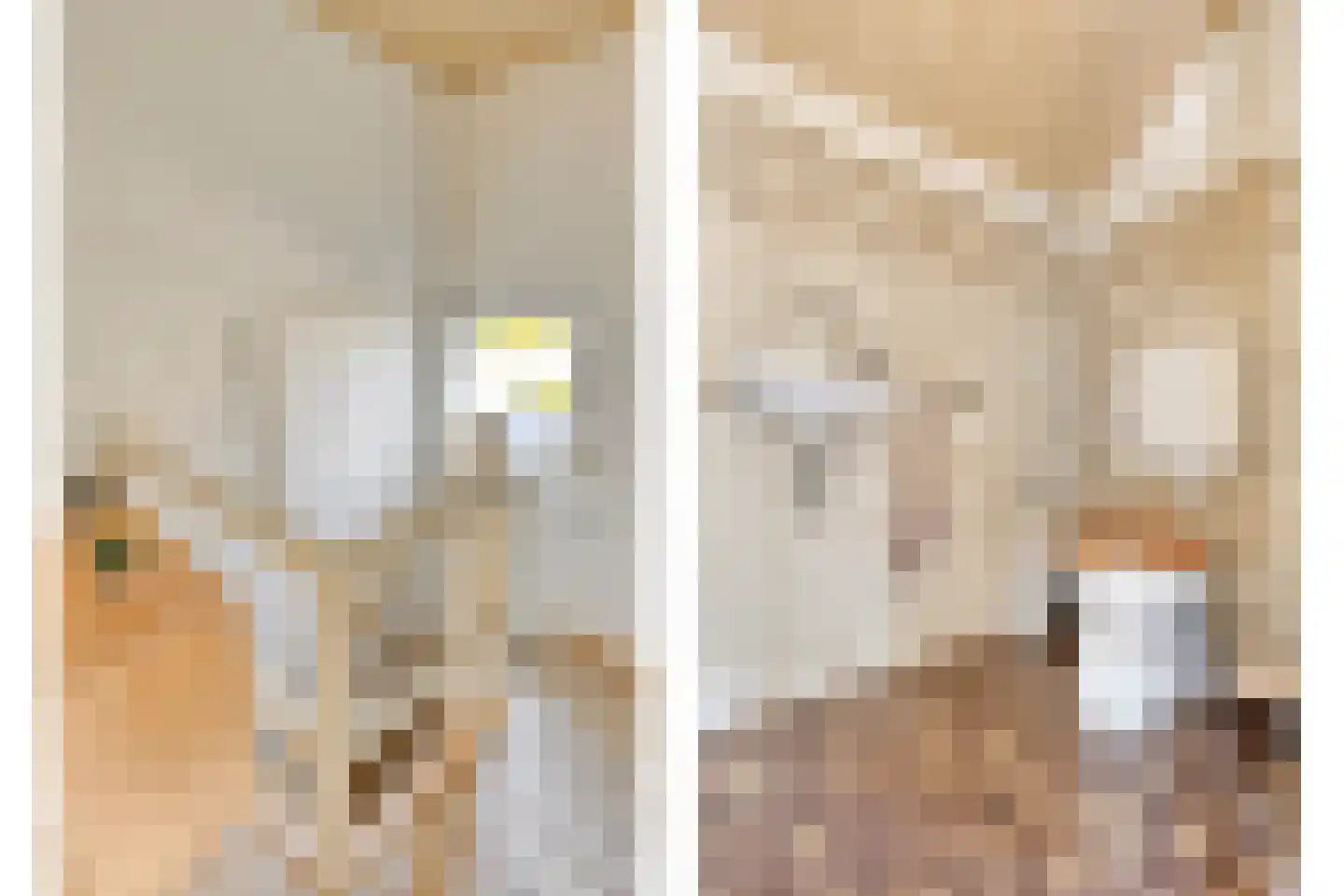 Stationsweg 101 Budel-Dorplein thumbnail 20