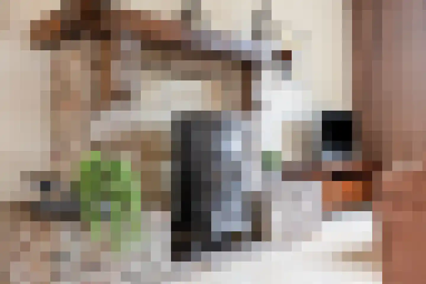 Stationsweg 101 Budel-Dorplein thumbnail 5