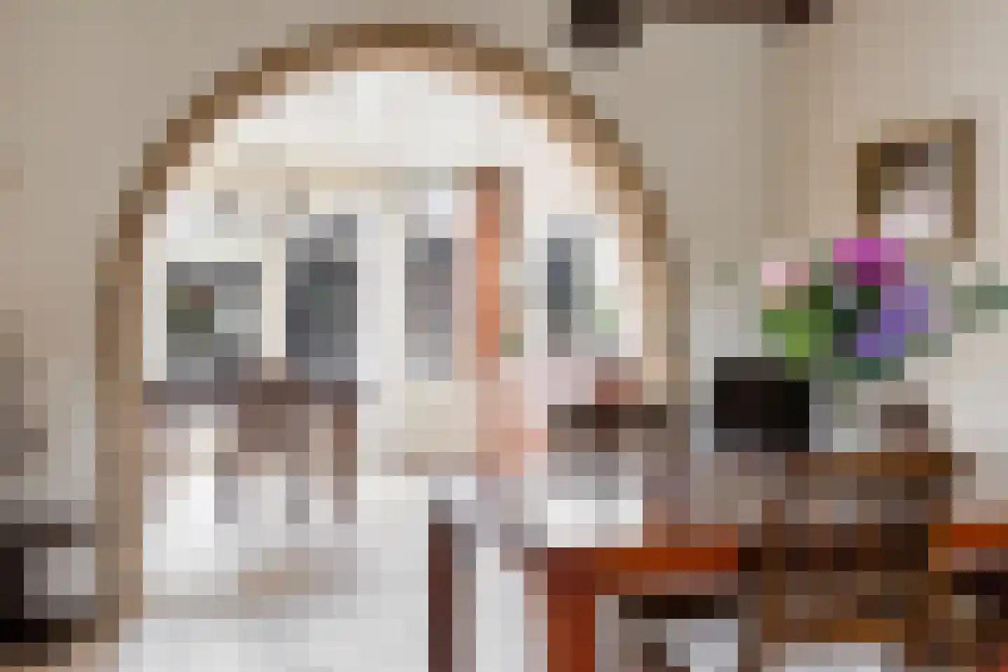 Stationsweg 101 Budel-Dorplein thumbnail 7