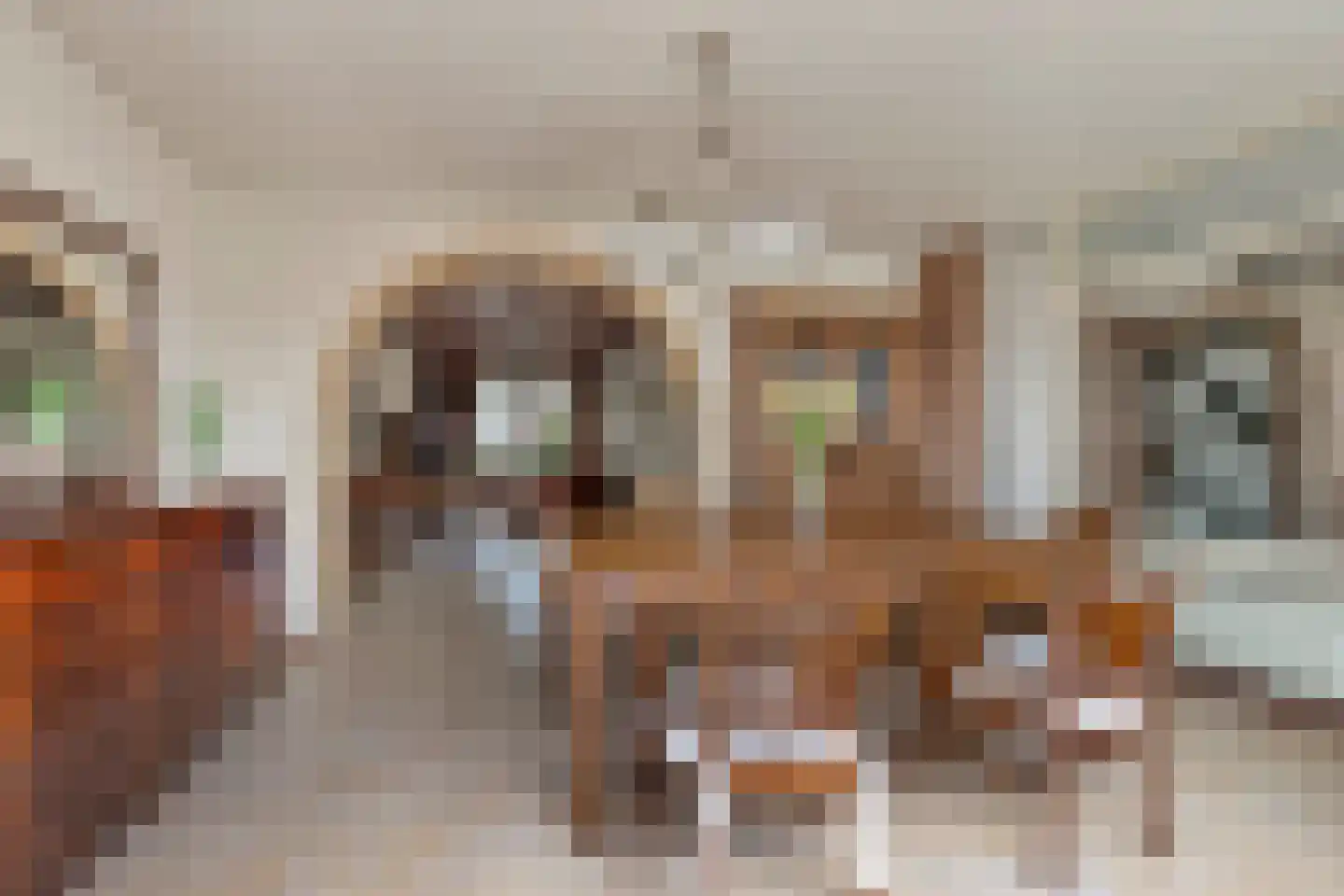 Stationsweg 101 Budel-Dorplein thumbnail 8
