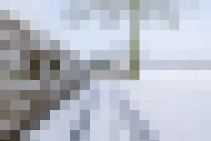 Stationsweg 101 Gorredijk thumbnail 13