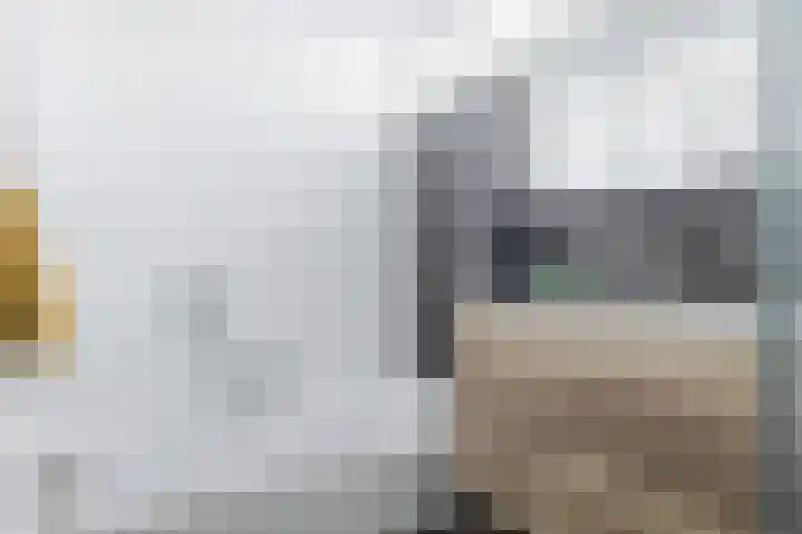 Stationsweg 101 Gorredijk thumbnail 40