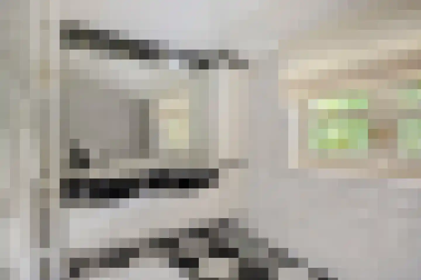 Stationsweg 104 Herkenbosch thumbnail 39