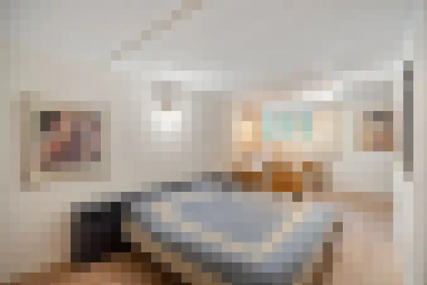 Stationsweg 104 Herkenbosch thumbnail 45