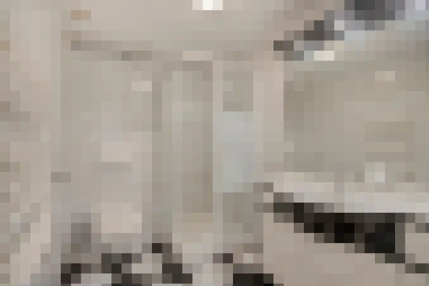 Stationsweg 104 Herkenbosch thumbnail 46