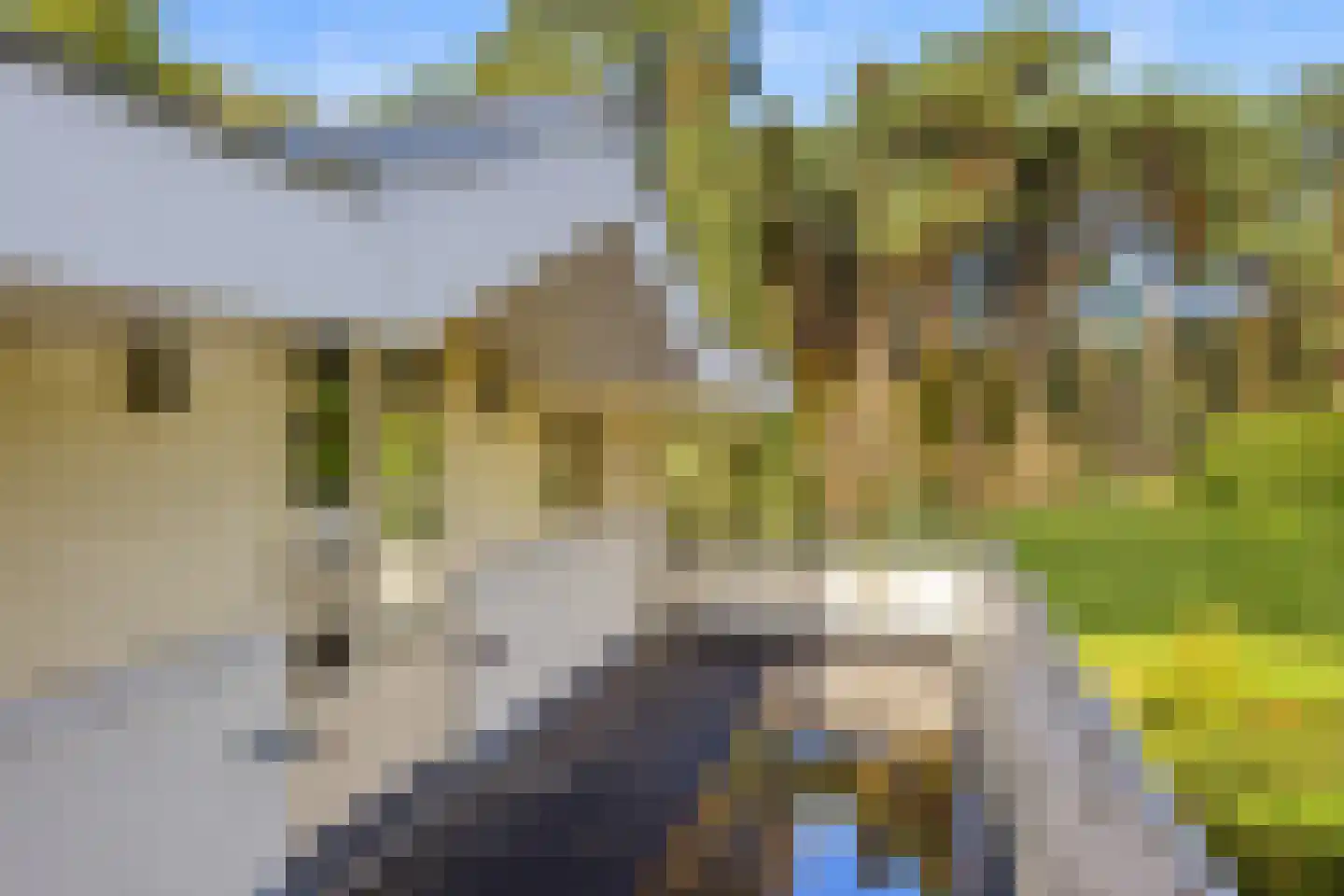 Stationsweg 104 Herkenbosch thumbnail 51