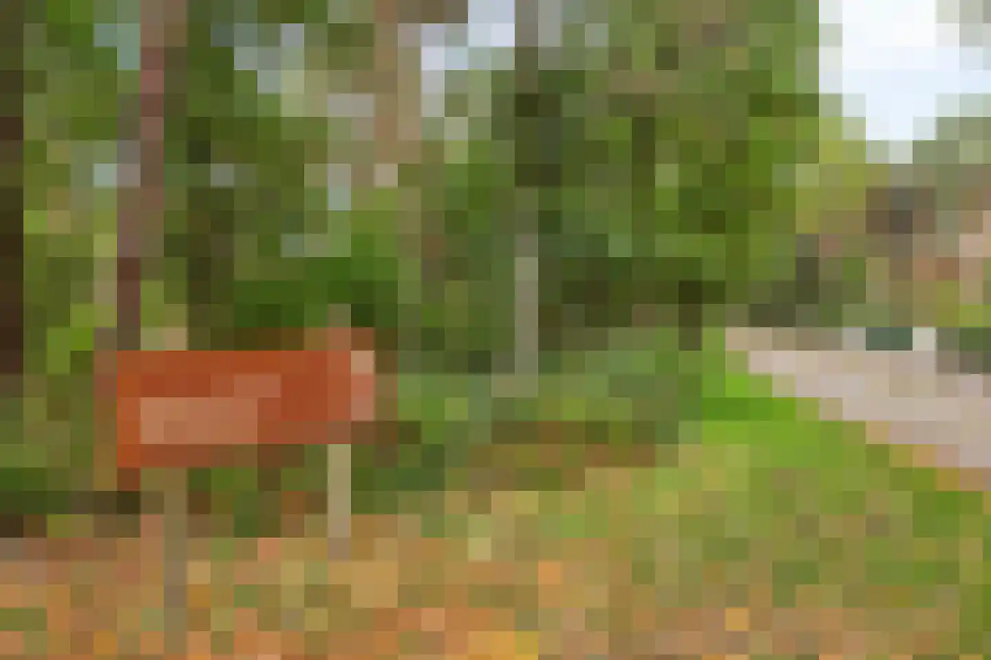 Stationsweg 104 Herkenbosch thumbnail 71
