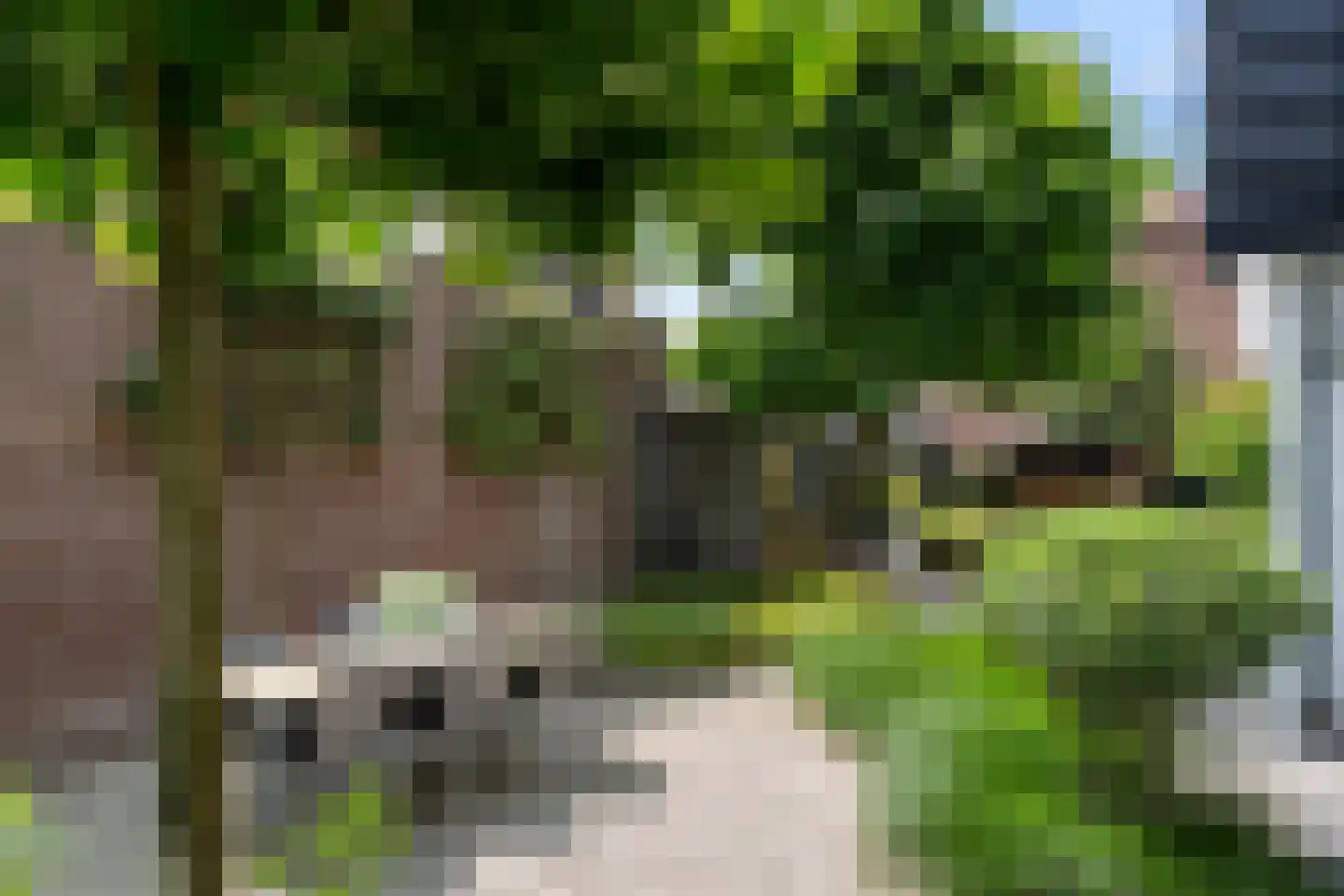 Stationsweg 105 Ede thumbnail 25