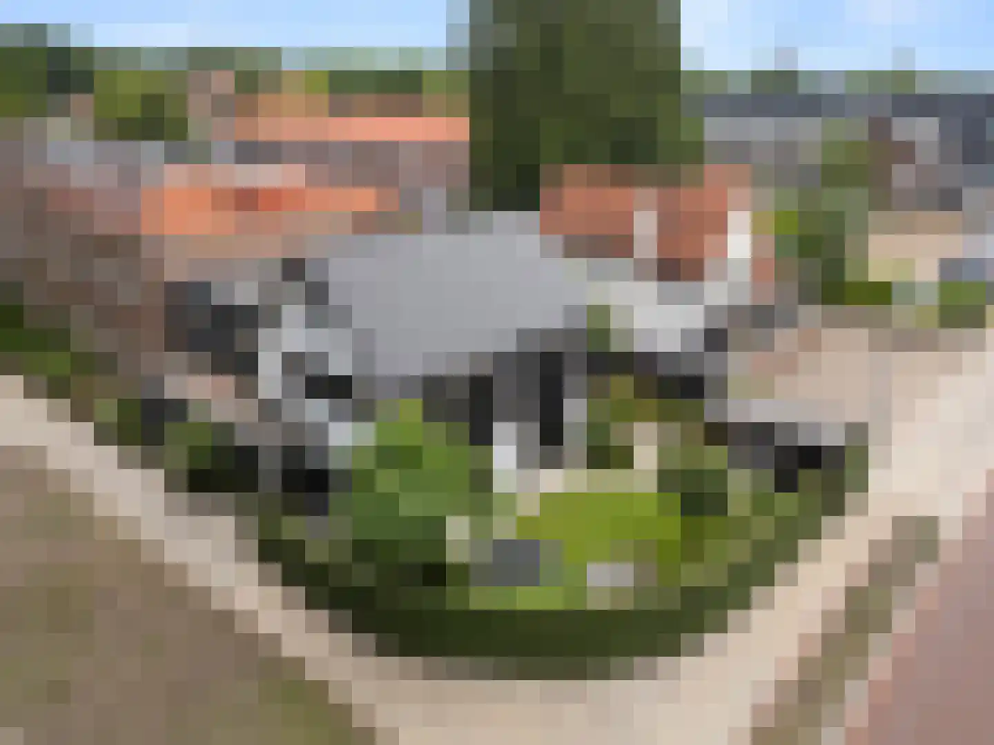 Stationsweg 105 Ede thumbnail 27