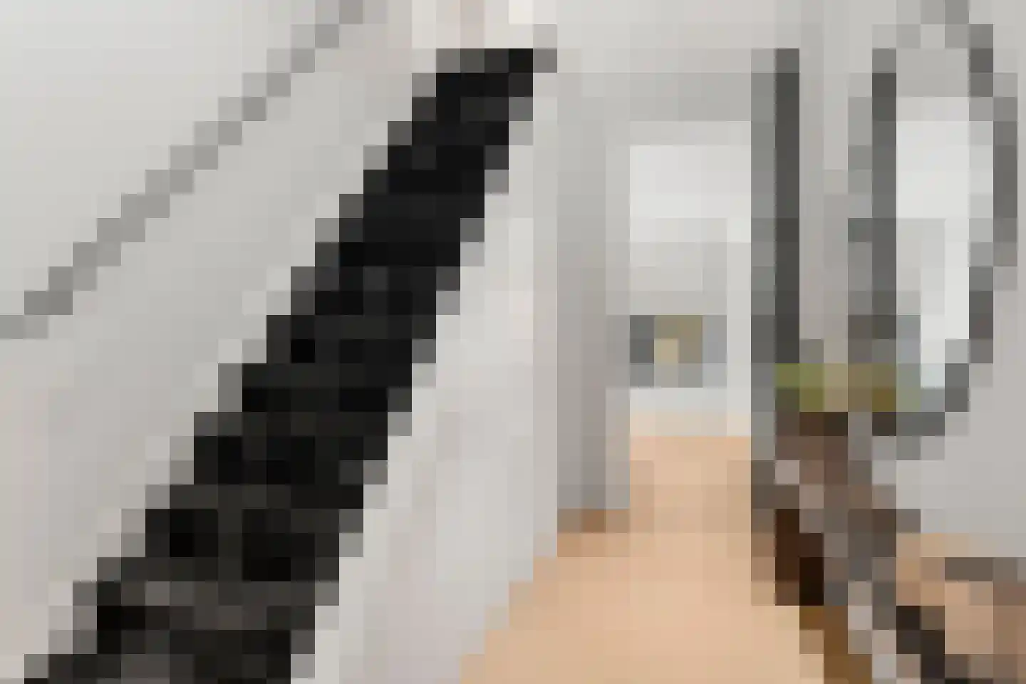 Stationsweg 105 Ede thumbnail 32