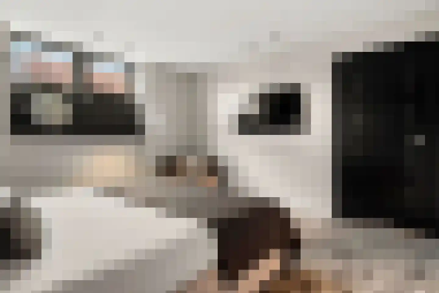 Stationsweg 105 Ede thumbnail 55