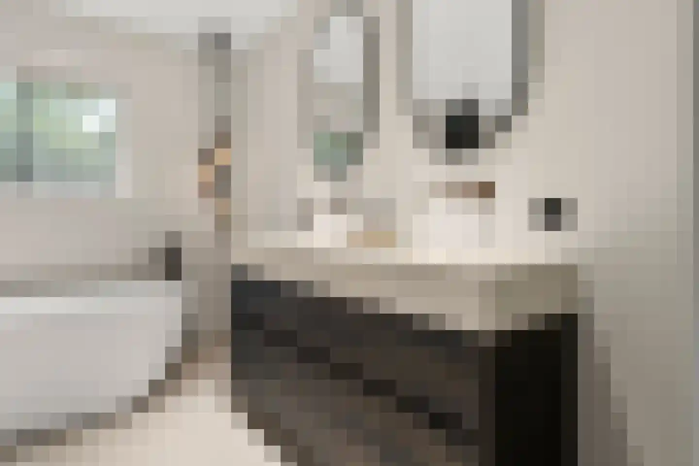 Stationsweg 105 Ede thumbnail 68