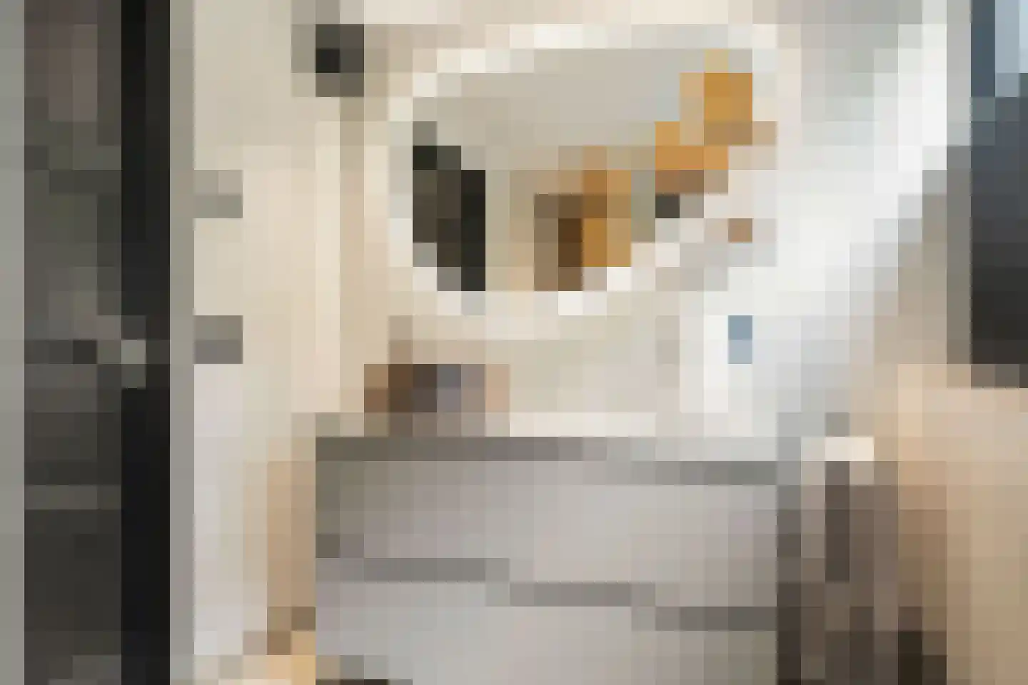 Stationsweg 105 Ede thumbnail 73