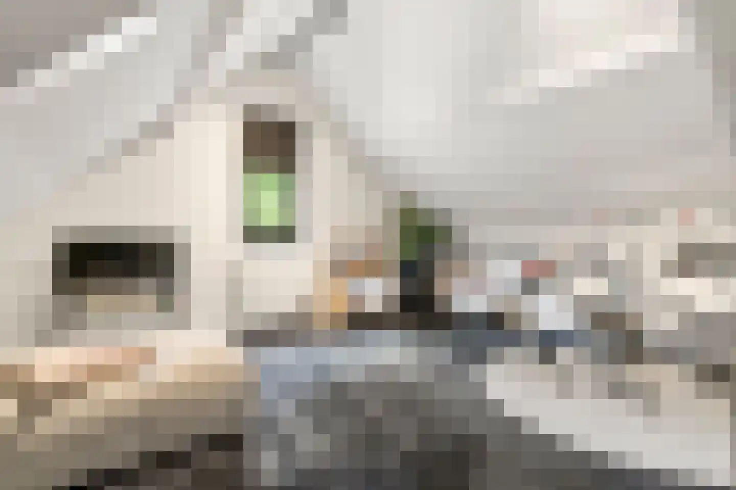 Stationsweg 105 Ede thumbnail 76