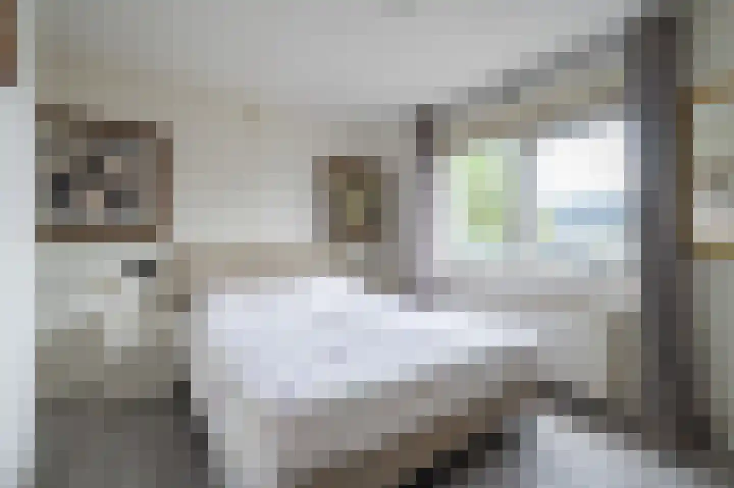 Stationsweg 107 Ede thumbnail 31