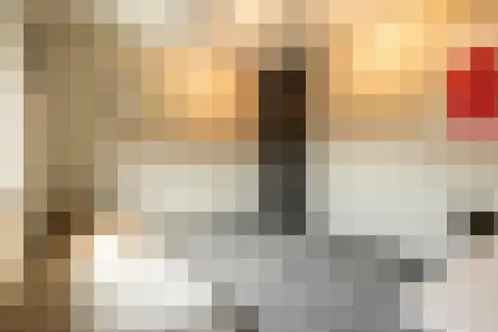Stationsweg 11 A Ede thumbnail 23