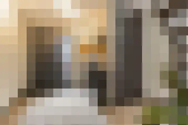 Stationsweg 11 A Ede thumbnail 5