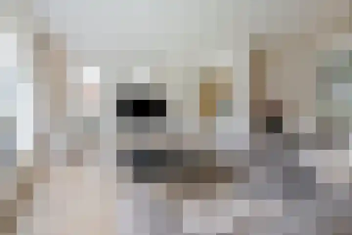 Stationsweg 11 b 1 Heino thumbnail 10