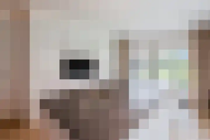 Stationsweg 11 b 1 Heino thumbnail 16