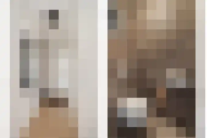 Stationsweg 11 b 1 Heino thumbnail 24