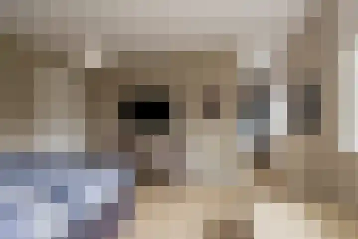 Stationsweg 11 b 1 Heino thumbnail 27