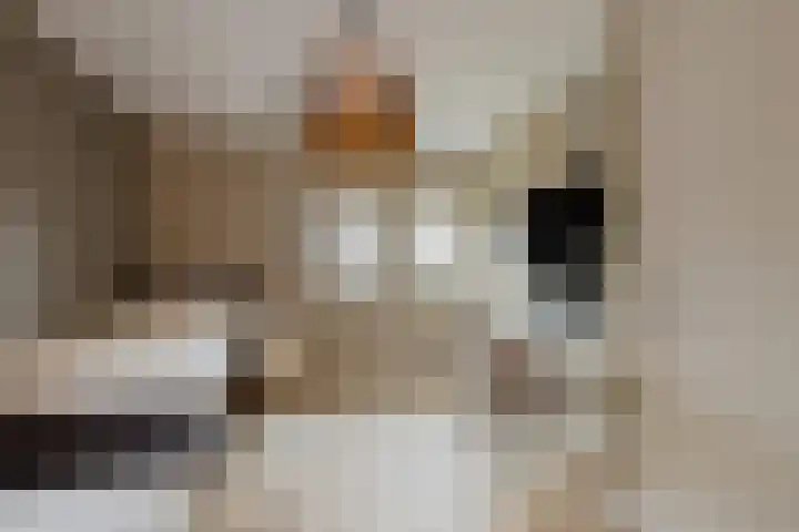 Stationsweg 11 b 1 Heino thumbnail 31