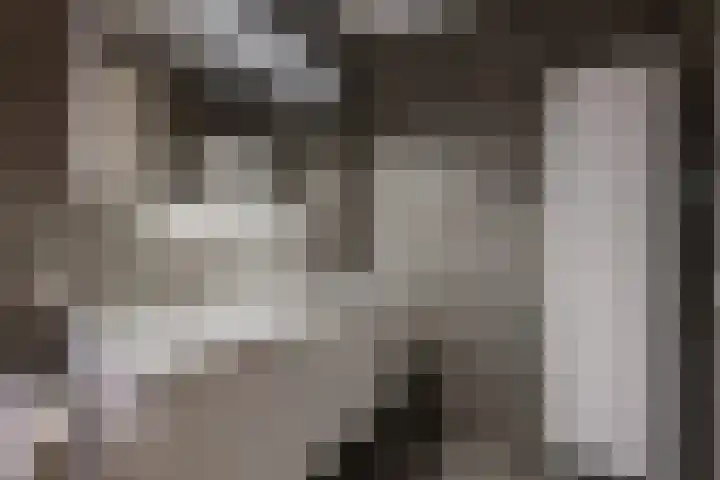 Stationsweg 11 b 1 Heino thumbnail 35