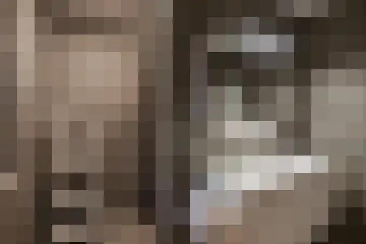 Stationsweg 11 b 1 Heino thumbnail 36