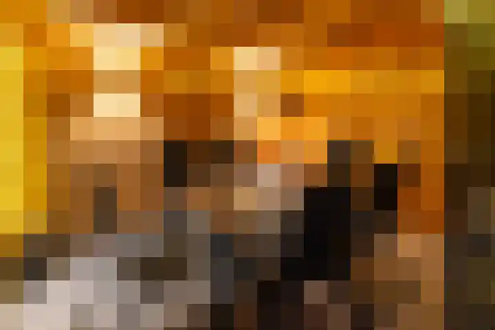 Stationsweg 11 b 1 Heino thumbnail 51