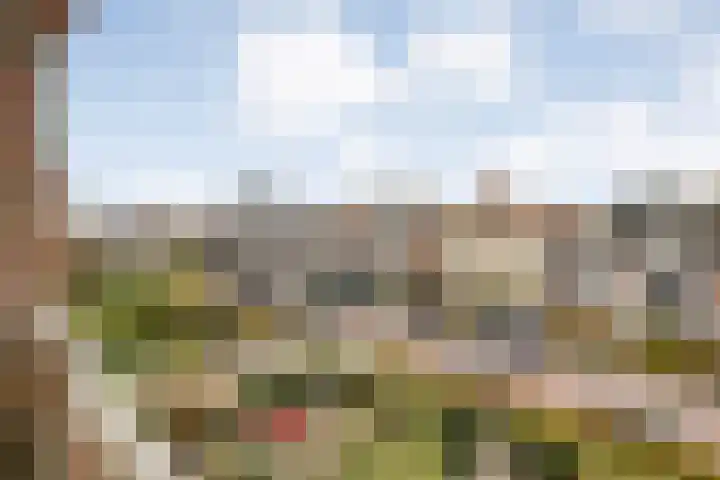Stationsweg 11 C Meppel thumbnail 12