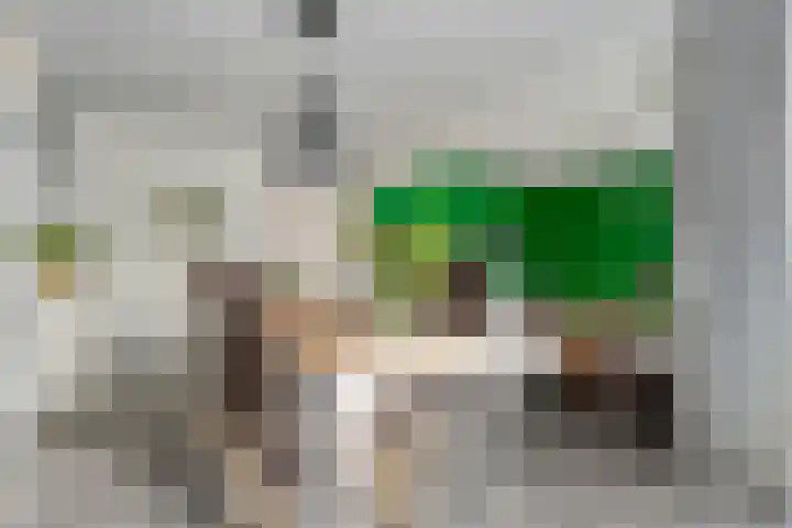 Stationsweg 11 C Meppel thumbnail 6