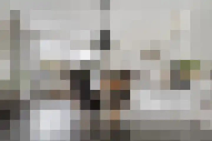 Stationsweg 11 C Meppel thumbnail 7