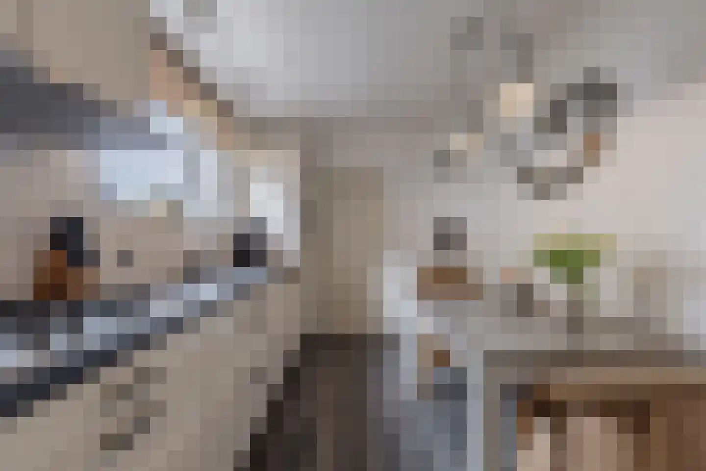Stationsweg 11 Gorredijk thumbnail 19