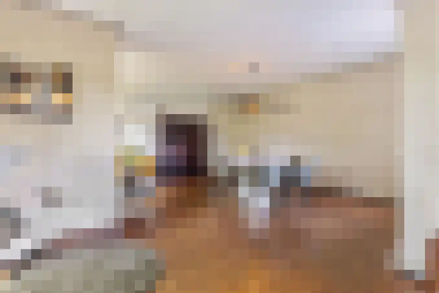 Stationsweg 11 Terborg thumbnail 17