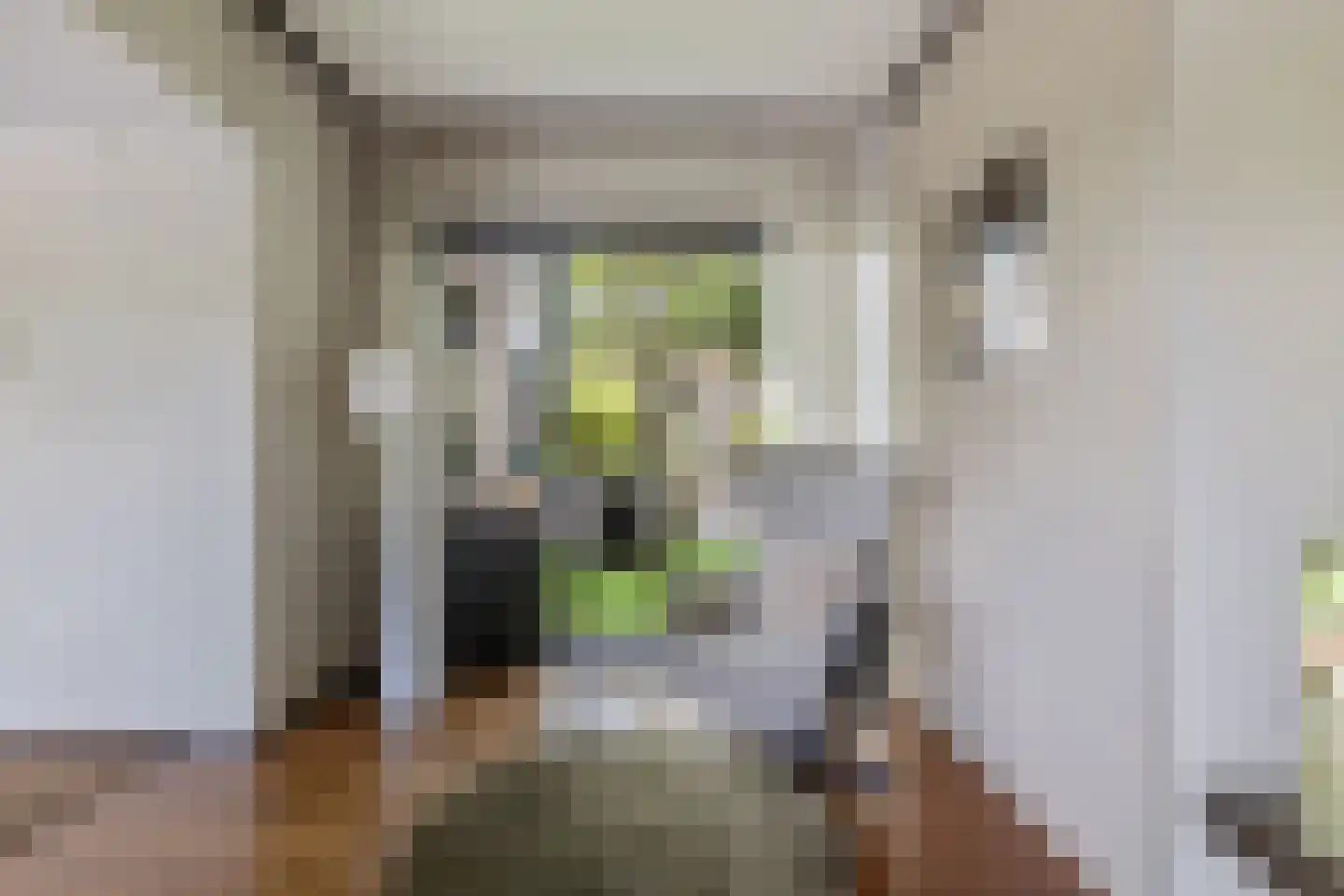 Stationsweg 11 Terborg thumbnail 20
