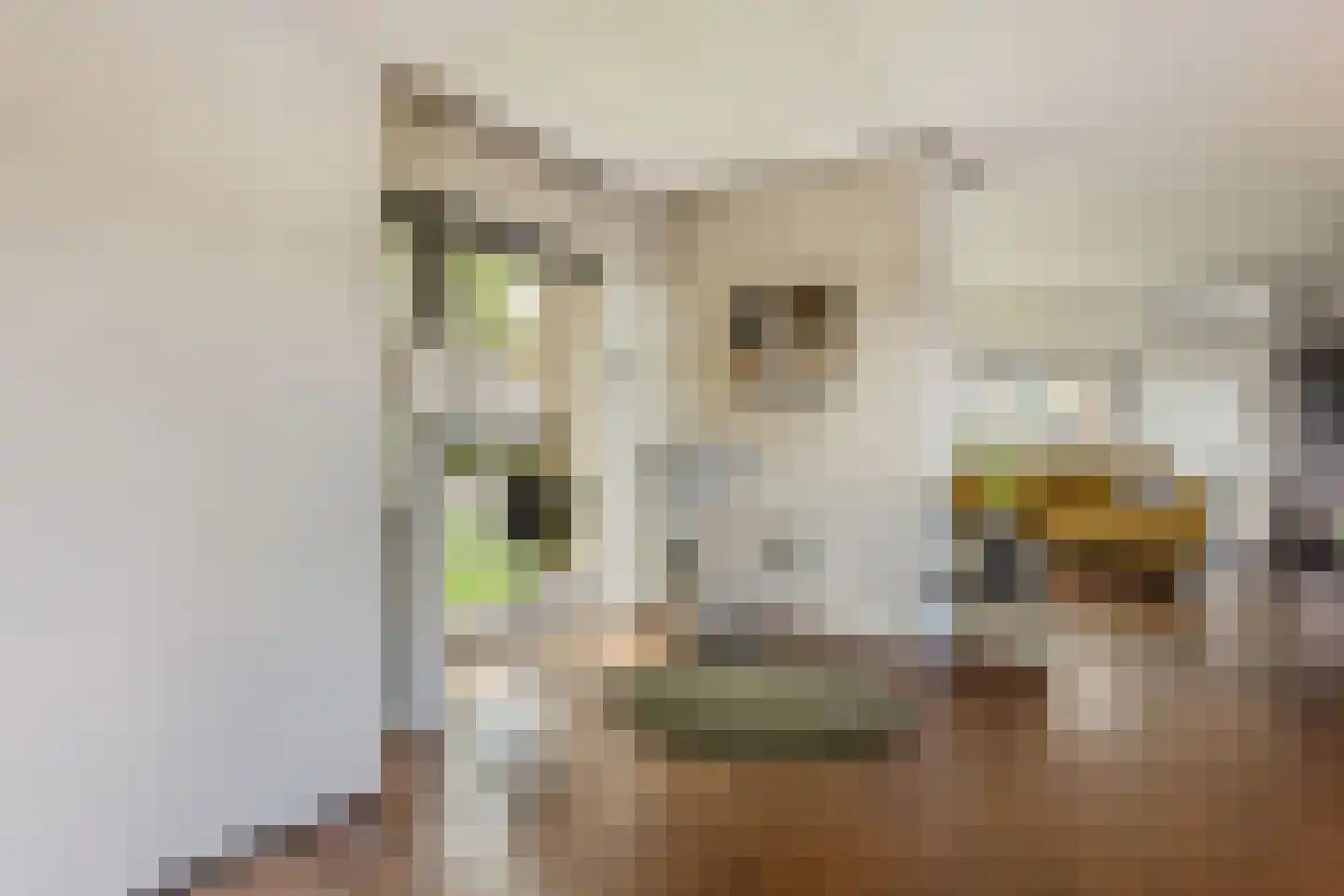 Stationsweg 11 Terborg thumbnail 28