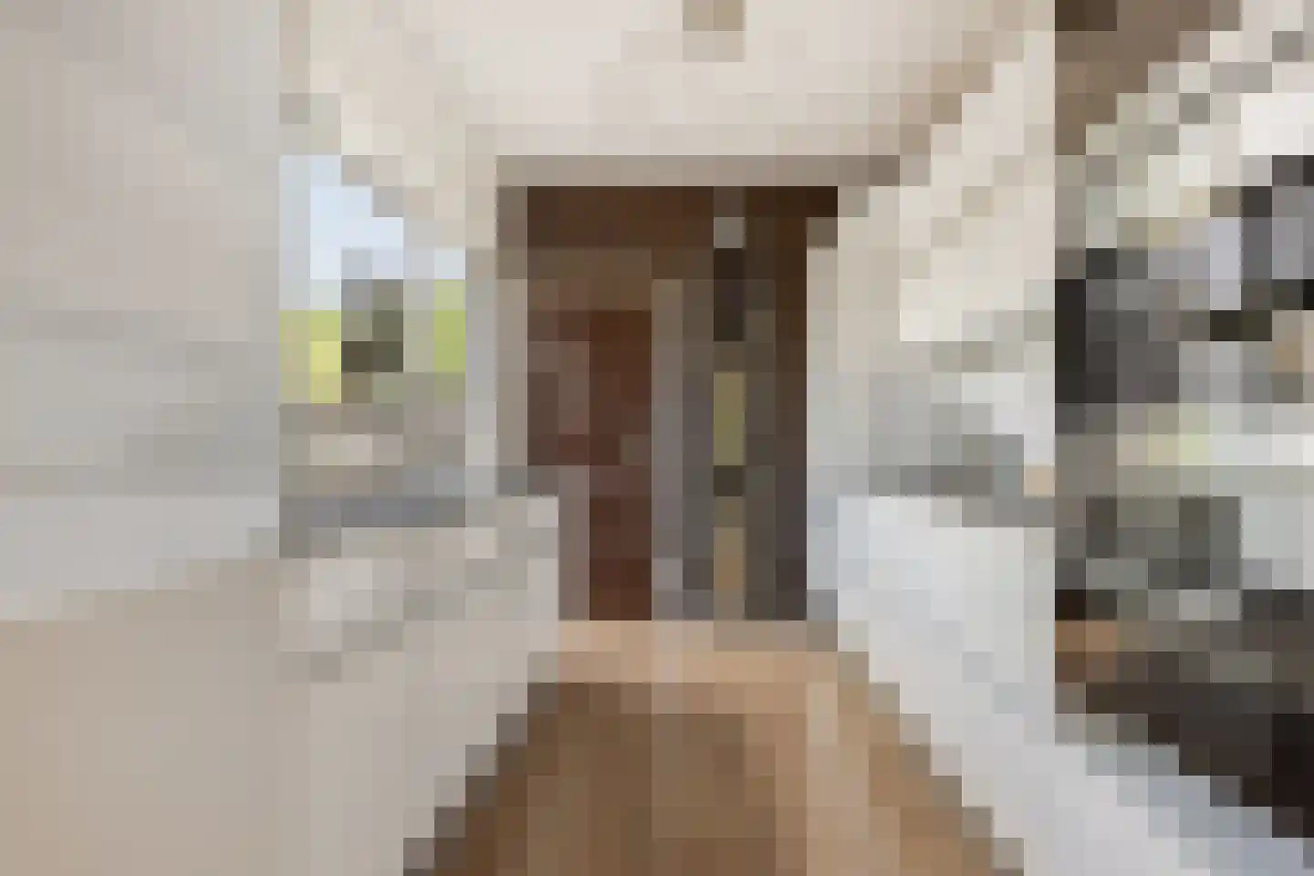Stationsweg 11 Terborg thumbnail 29