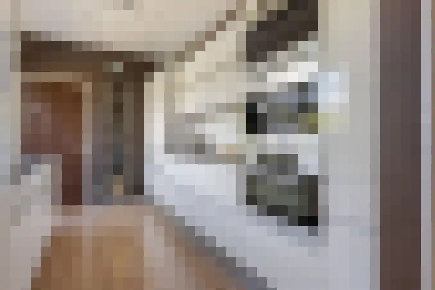 Stationsweg 11 Terborg thumbnail 30