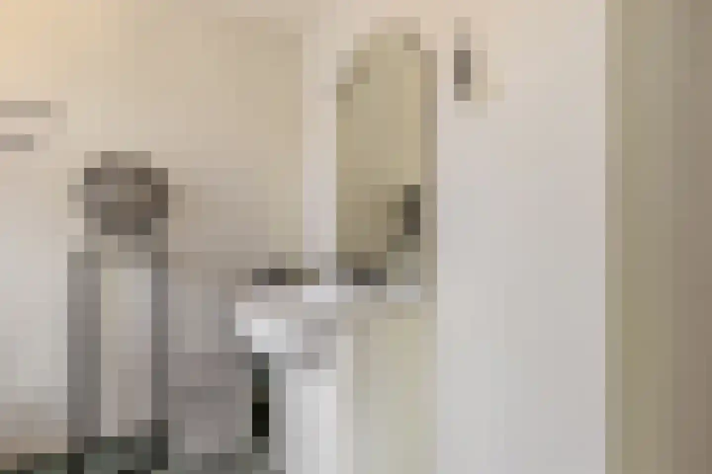 Stationsweg 11 Terborg thumbnail 38