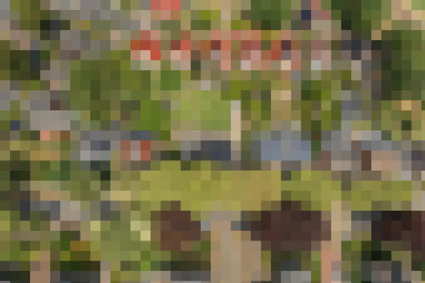 Stationsweg 11 Terborg thumbnail 4