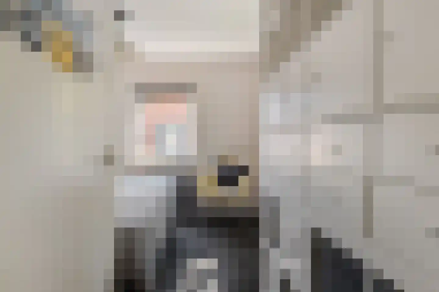 Stationsweg 11 Terborg thumbnail 40