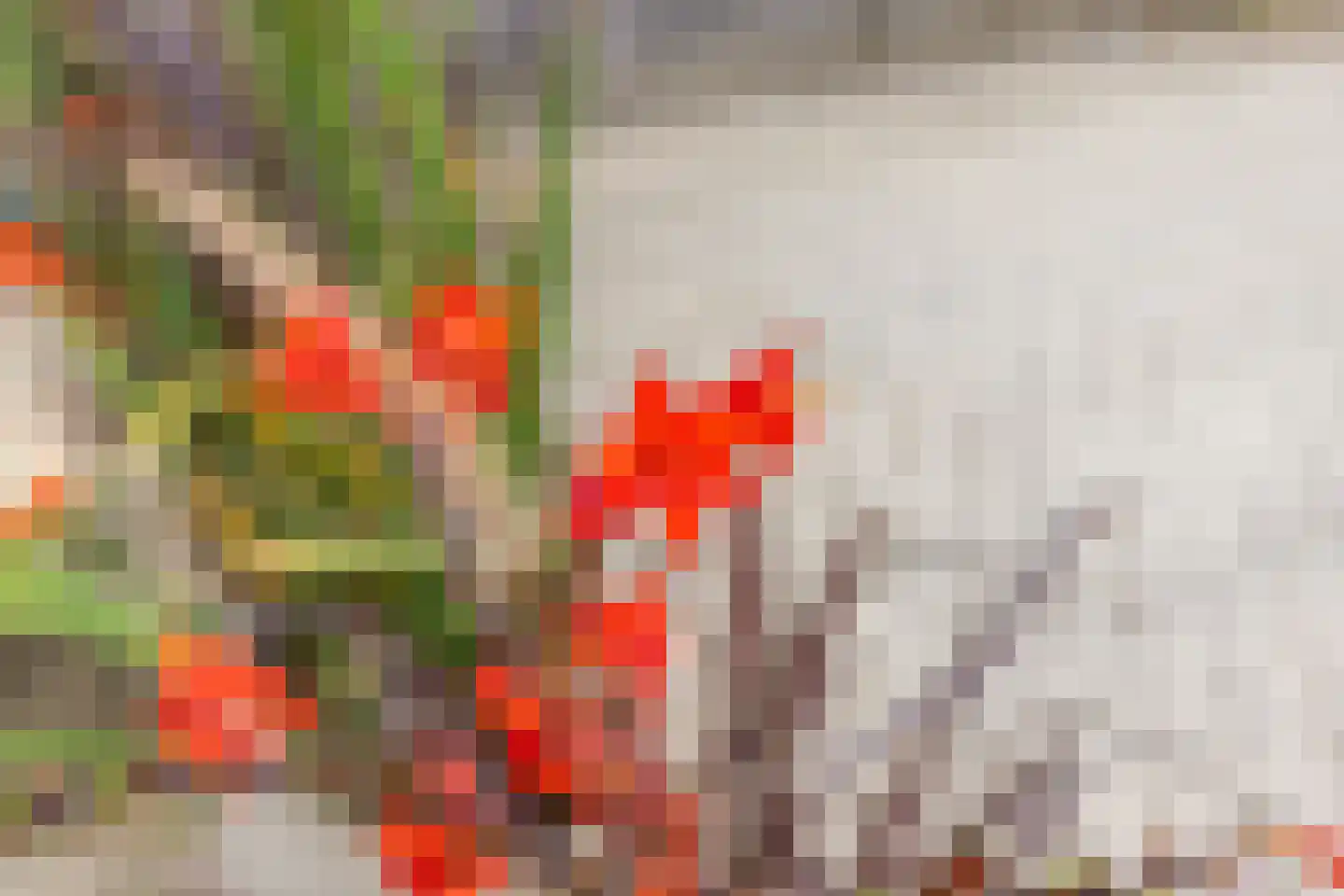 Stationsweg 11 Terborg thumbnail 61