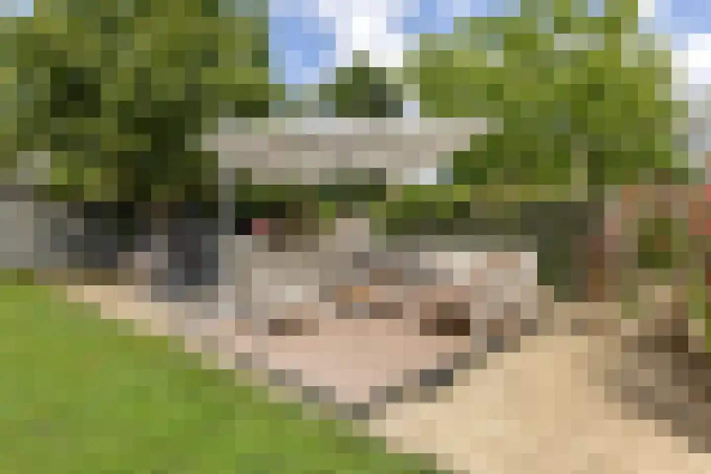 Stationsweg 11 Terborg thumbnail 62
