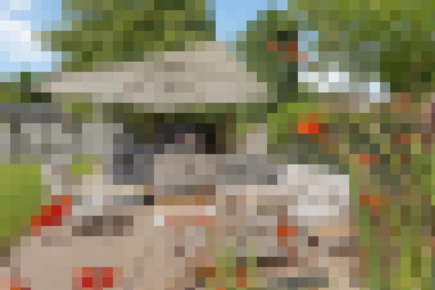 Stationsweg 11 Terborg thumbnail 63
