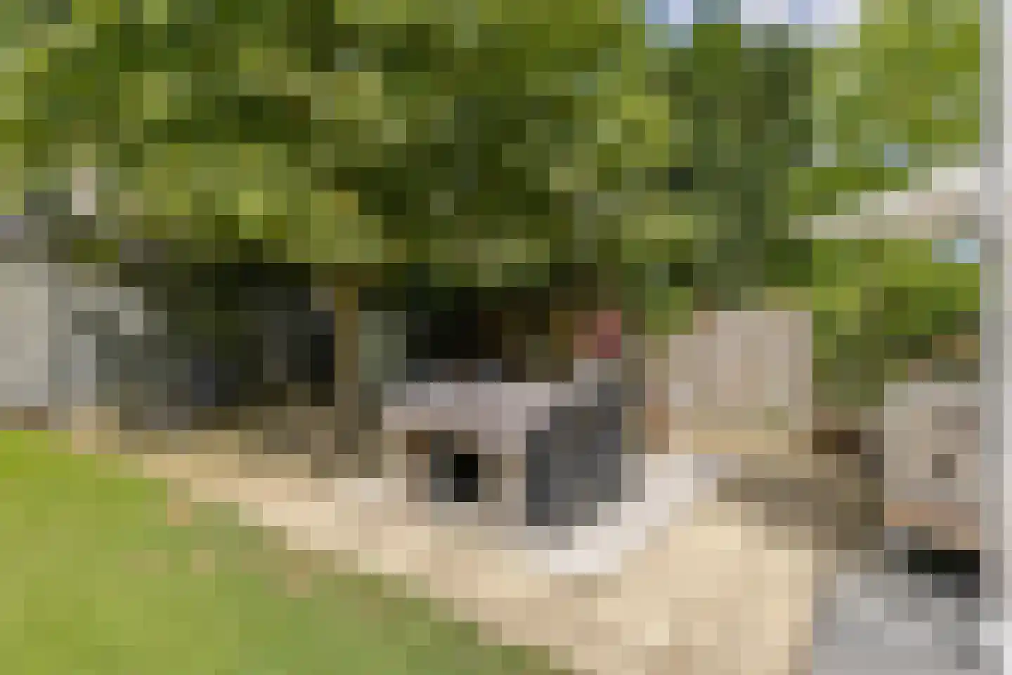 Stationsweg 11 Terborg thumbnail 67