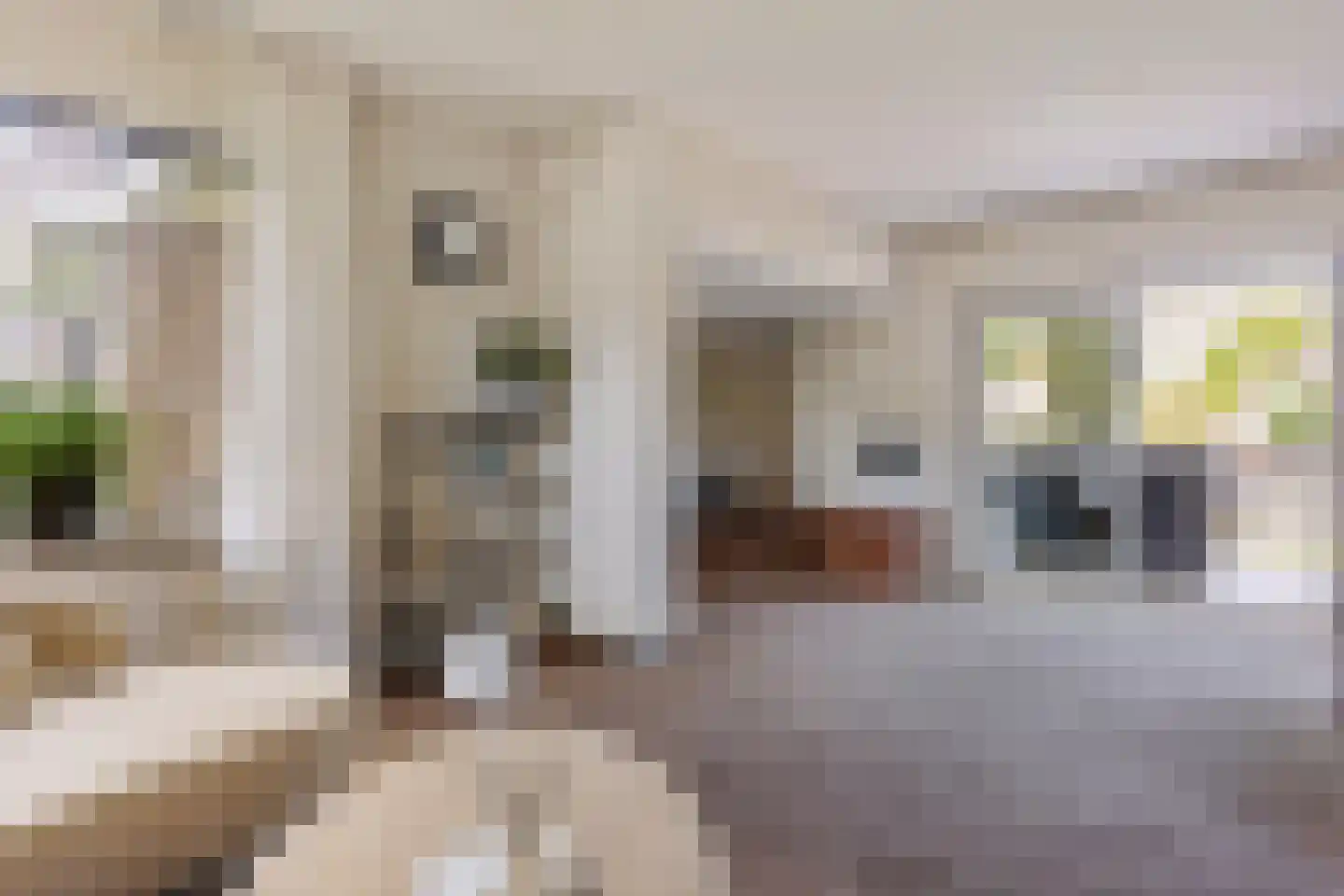 Stationsweg 11 Terborg thumbnail 7