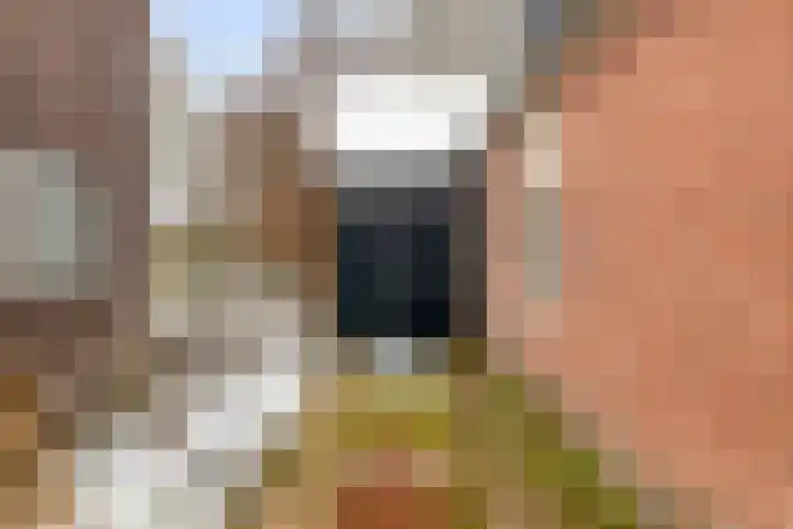 Stationsweg 110 Heerhugowaard thumbnail 12