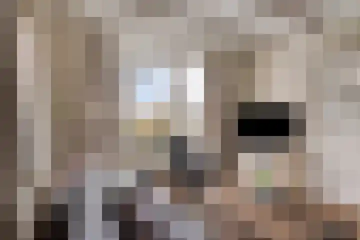 Stationsweg 110 Heerhugowaard thumbnail 16