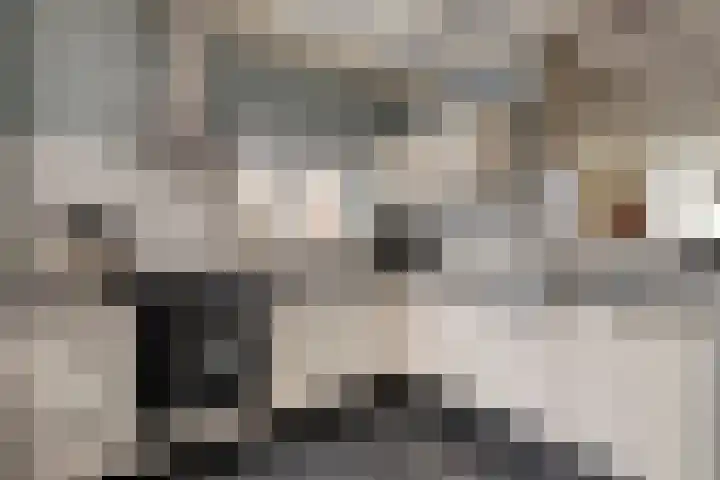 Stationsweg 110 Heerhugowaard thumbnail 25